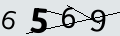 verifycode